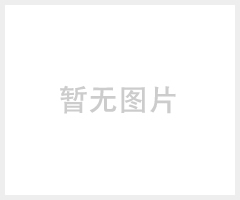 淑女包